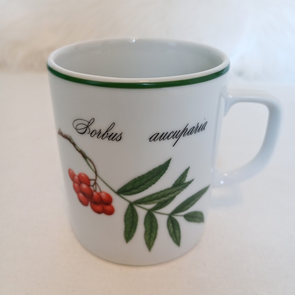 Apilco Elysian Garden Sorbus Aucuparia porcelain mug